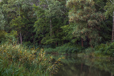 Similar image 21431003