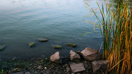 Similar image 21431004