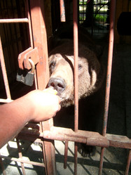 Similar image 21423284