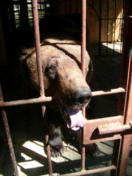 Similar image 21423285