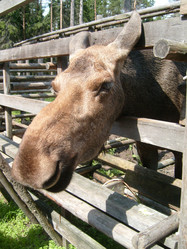 Similar image 21423287