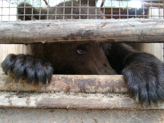 Similar image 21423290