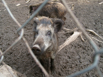 Similar image 21423291