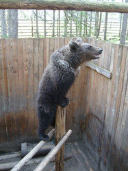 Similar image 21423292