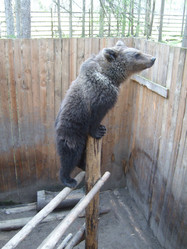 Similar image 21423293