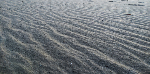 Similar image 21431011