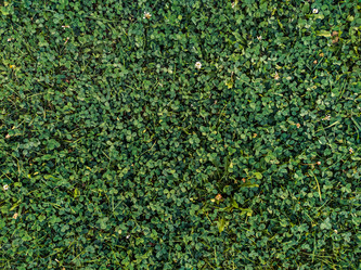 Similar image 21431012