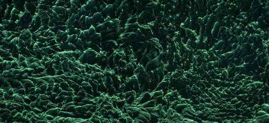 Similar image 21431015