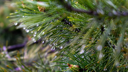 Similar image 21431017