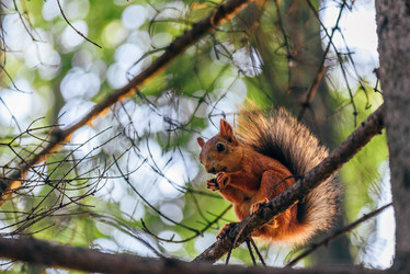 Similar image 21403697