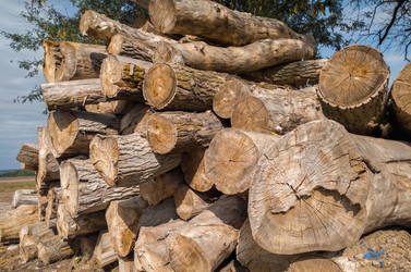 Similar image 21431020