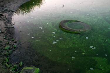 Similar image 21431023