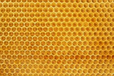 Similar image 21404867