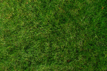 Similar image 21404868