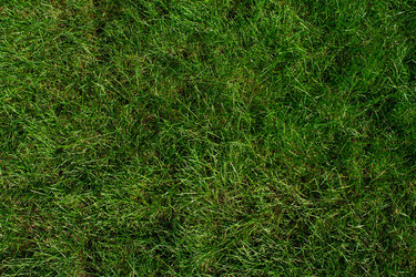 Similar image 21431024