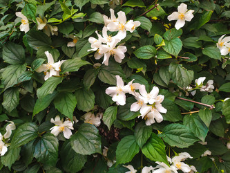 Similar image 21431030