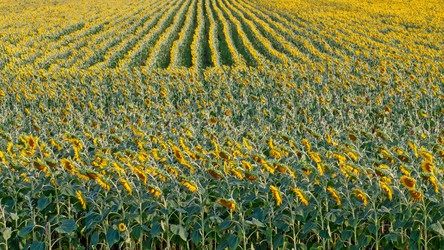 Similar image 21431040