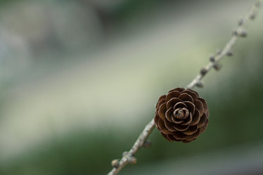 Similar image 21426241