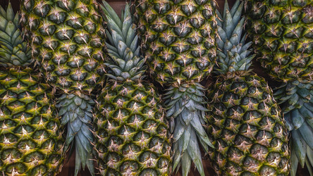 Similar image 21431043