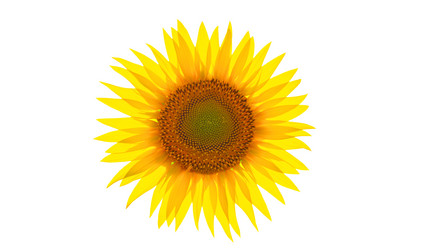 Similar image 21426242