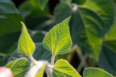 Similar image 21426244