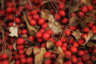 Similar image 21431049