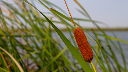 Similar image 21426247