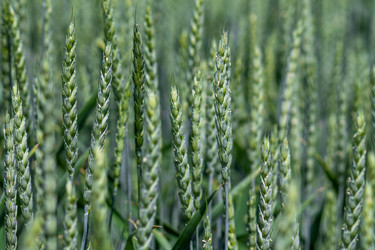 Similar image 21420167