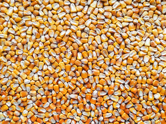 Similar image 21420168