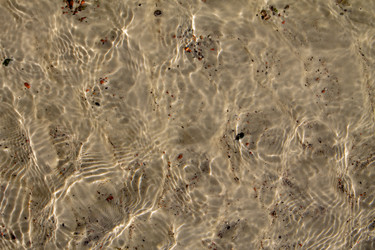 Similar image 21418748