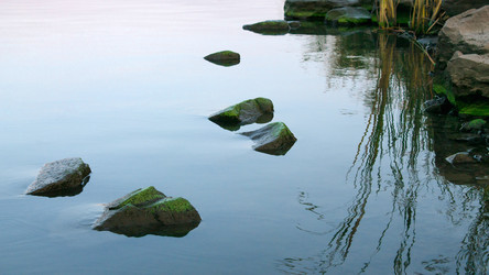 Similar image 21426249