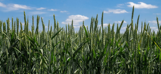 Similar image 21418756