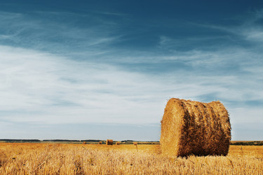 Similar image 21431054