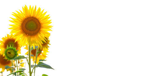 Similar image 21400090