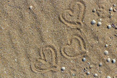 Similar image 21404878