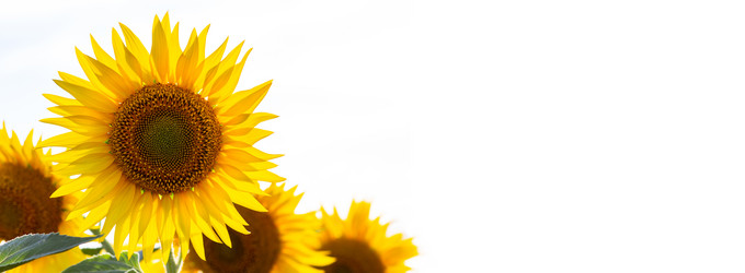 Similar image 21420181