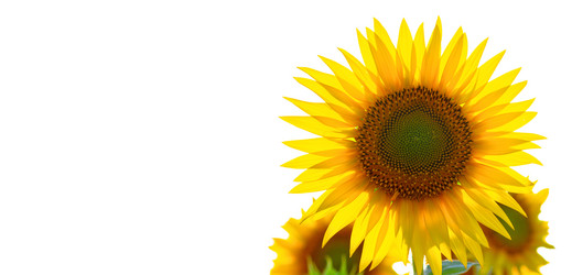 Similar image 21420182