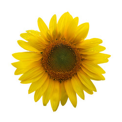 Similar image 21418760