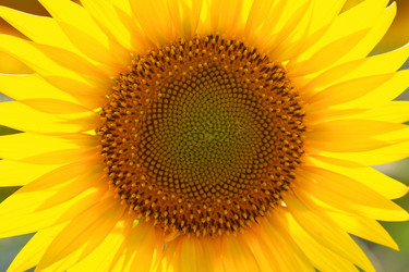 Similar image 21404885