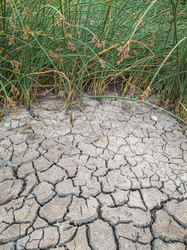 Similar image 21404887