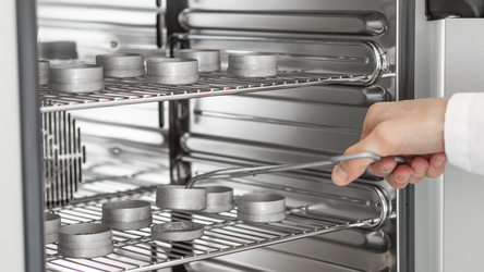 Similar image 21431056