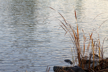 Similar image 21426252