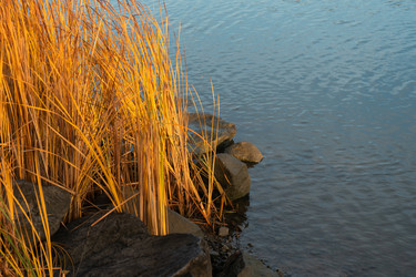 Similar image 21426253