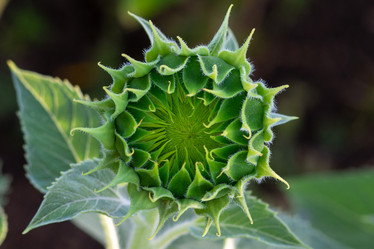 Similar image 21418773