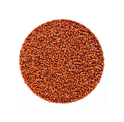 Similar image 21400098