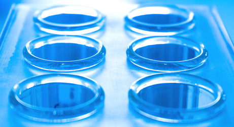 Similar image 21421863