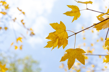 Similar image 21400110