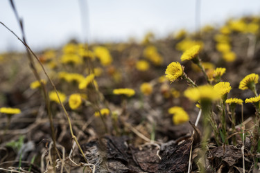 Similar image 21400116