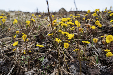 Similar image 21400117