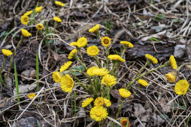 Similar image 21400119